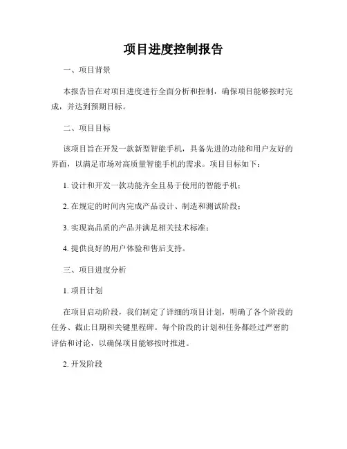 项目进度控制报告