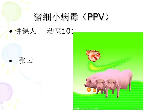 猪细小病毒(PPV)