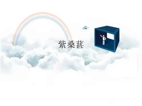 紫桑椹