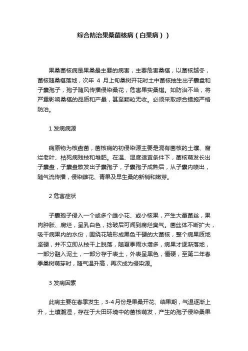 综合防治果桑菌核病（白果病））