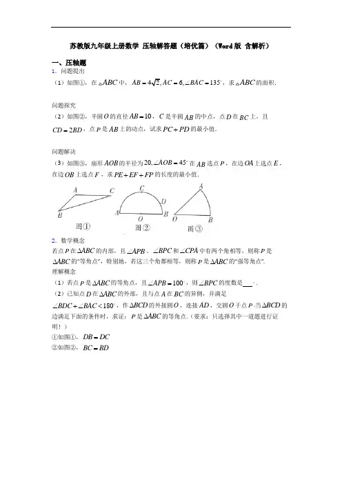 苏教版九年级上册数学 压轴解答题(培优篇)(Word版 含解析)