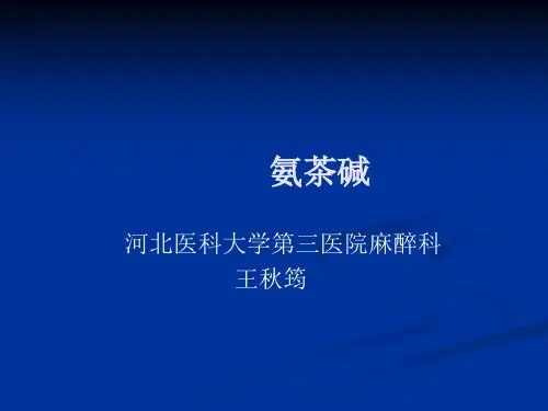 氨茶碱PPT课件