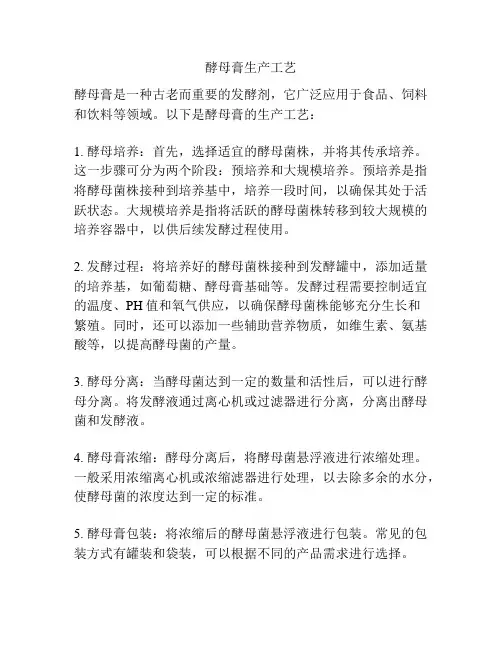 酵母膏生产工艺