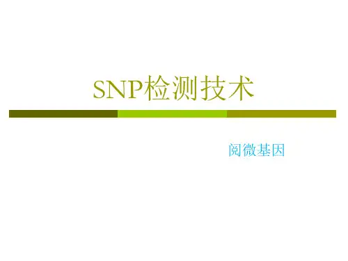 SNP检测原理和应用