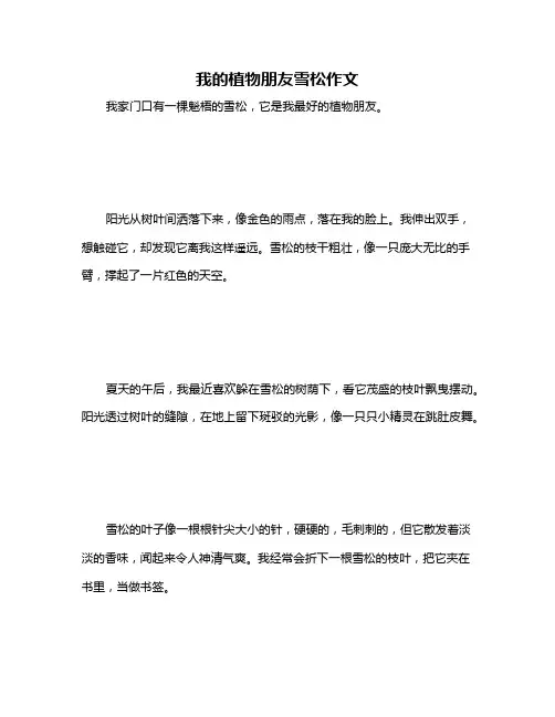 我的植物朋友雪松作文