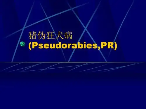 3 猪伪狂犬病