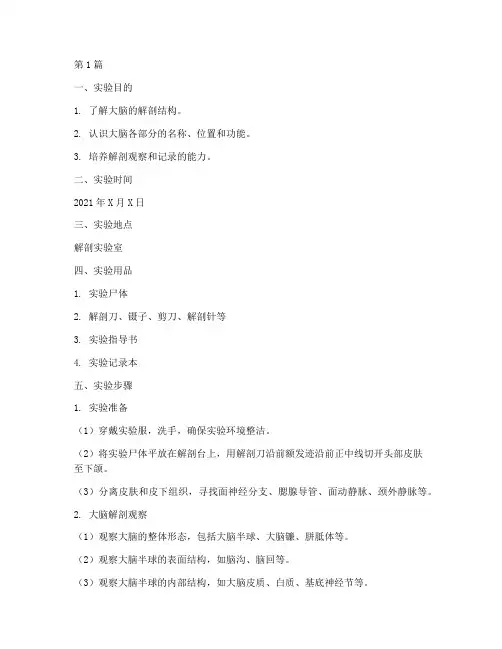 大脑解剖观察实验报告(3篇)