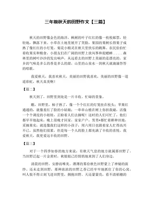三年级秋天的田野作文【三篇】