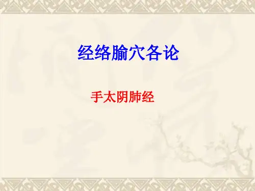 手太阴肺经