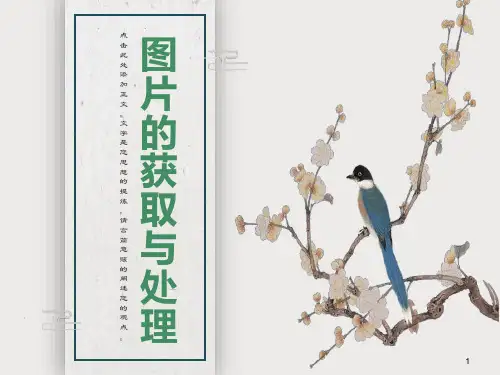 图片的获取与处理