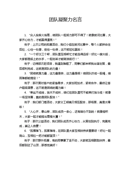 团队凝聚力名言