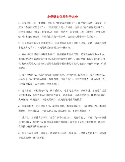 最新小学语文仿写句式练习小学升初中必练句式