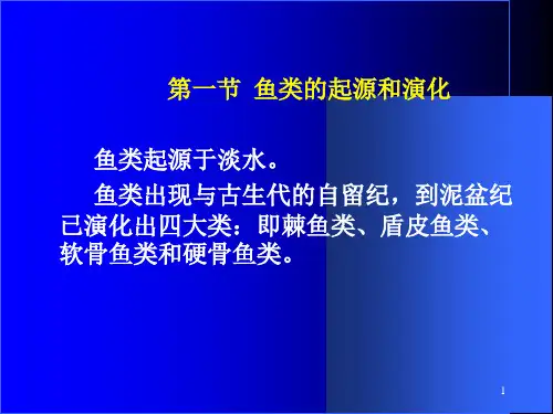 动物起源和演化