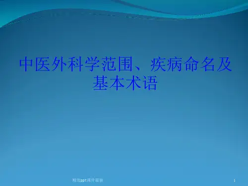 中医外科学范围疾病命名及基本术语ppt课件