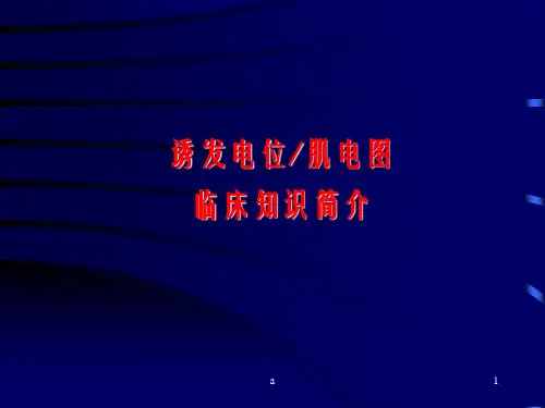 诱发电位肌电图临床知识简介