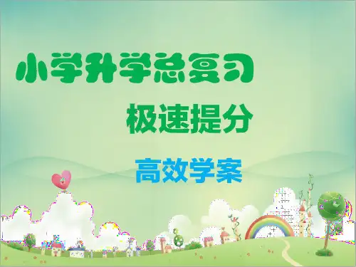 2020小升初复习-小升初语文专题八  口语交际 学案 精品课件