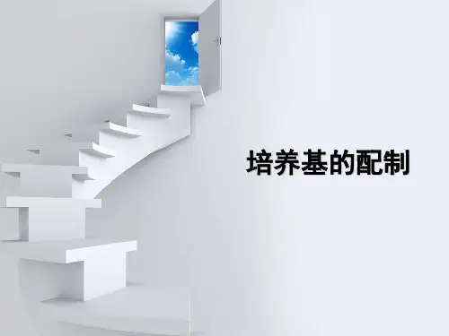 培养基的配制