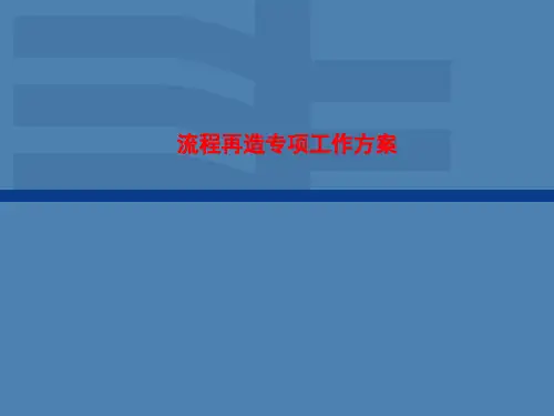 流程再造专项工作方案