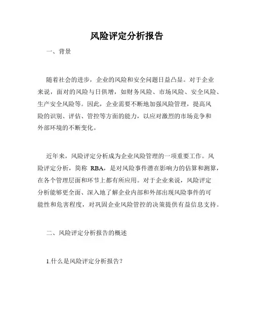 风险评定分析报告
