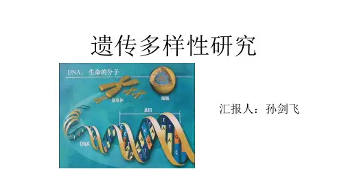 遗传多样性研究
