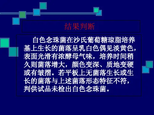 白色念珠菌与抑菌效力检查方法-幻灯片(2)