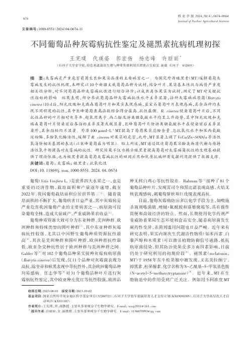 不同葡萄品种灰霉病抗性鉴定及褪黑素抗病机理初探
