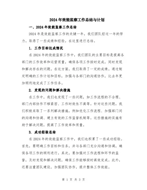 2024年效能监察工作总结与计划