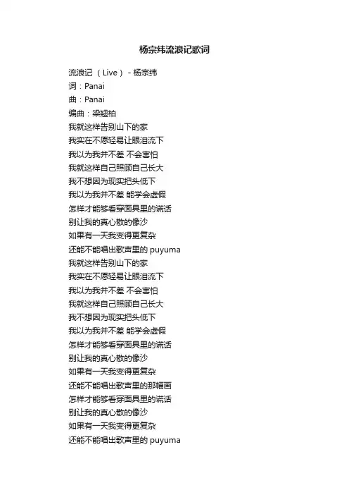 杨宗纬流浪记歌词