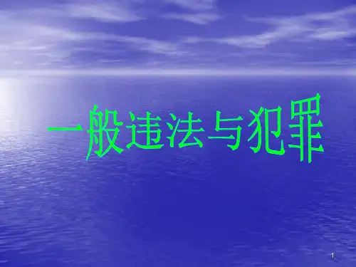 一般违法与犯罪ppt课件