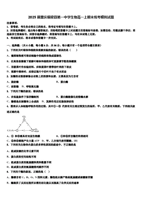2025届重庆铜梁县第一中学生物高一上期末统考模拟试题含解析