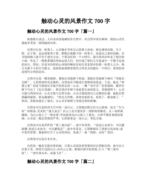 触动心灵的风景作文700字