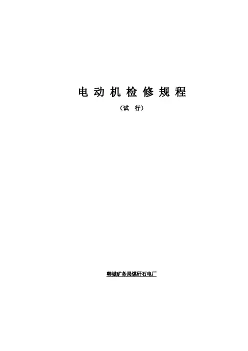 2、电动机检修规程(终稿)