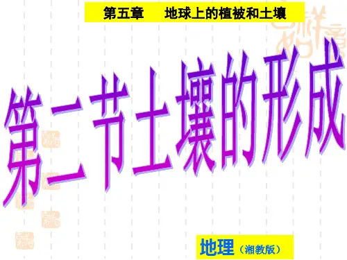 第五章地球上的植被和土壤 第二节土壤的形成课件(共51张PPT)—高中地理湘教版(2019)必修一