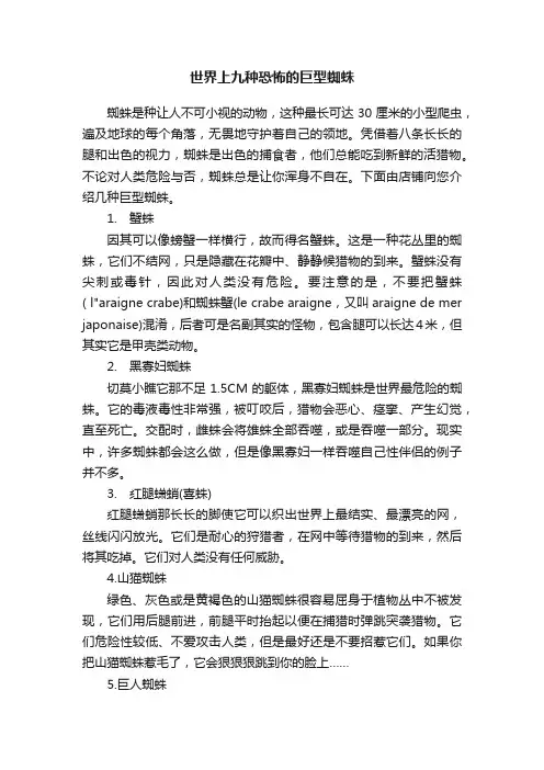 世界上九种恐怖的巨型蜘蛛
