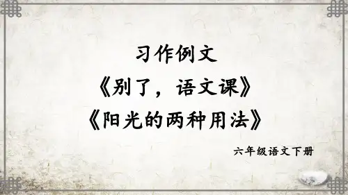 部编版语文六年级下册习作例文：《别了,语文课》《阳光的两种用法》【教案匹配版】课件