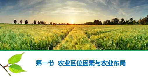 31 农业区位因素与农业布局 课件-2021-2022学年湘教版(2019)高中地理必修2