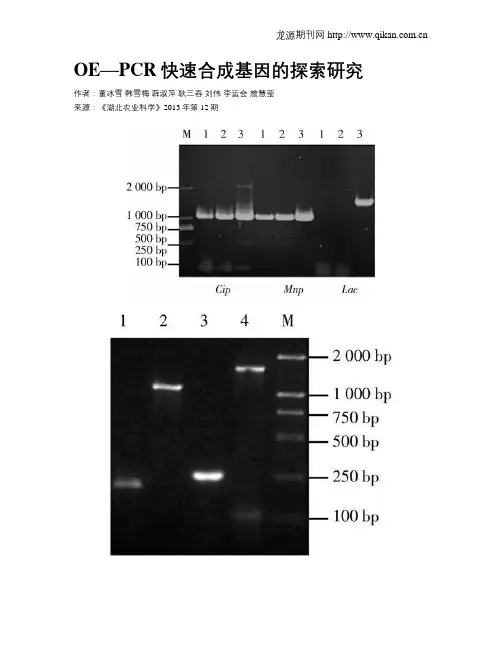 OE—PCR快速合成基因的探索研究