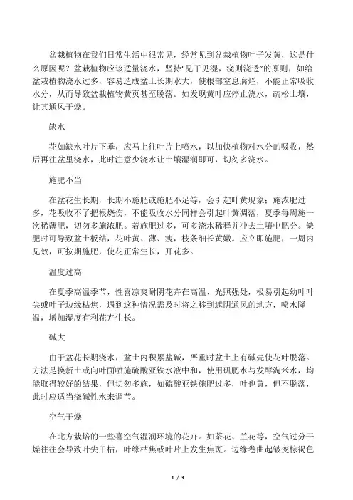 盆栽植物黄化原因