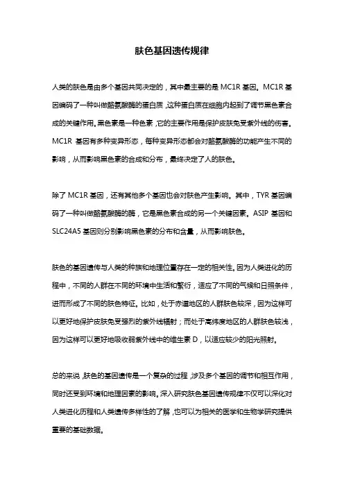 肤色基因遗传规律