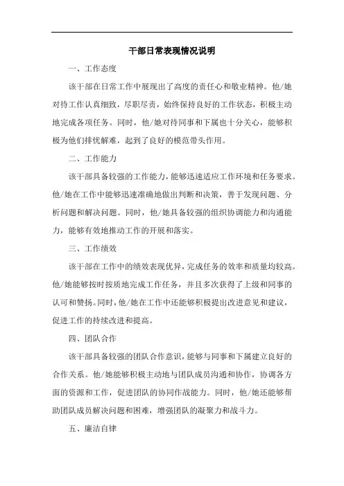 干部日常表现情况说明