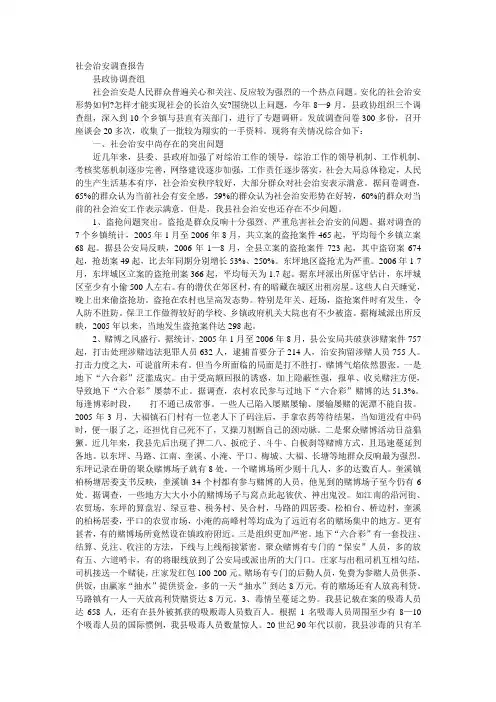 社会治安调查报告1