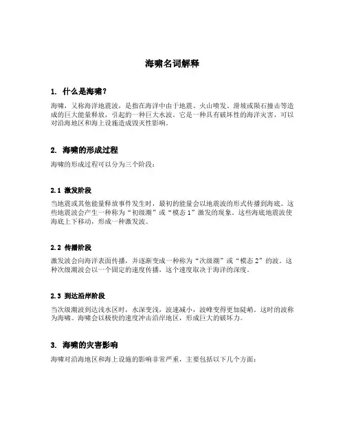 海啸名词解释