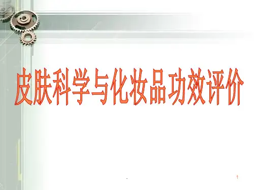 第一章皮肤生理基础知识 ppt课件