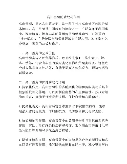 高山雪菊的功效与作用