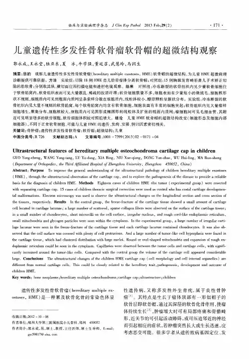 儿童遗传性多发性骨软骨瘤软骨帽的超微结构观察