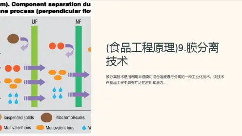 (食品工程原理)9.膜分离技术