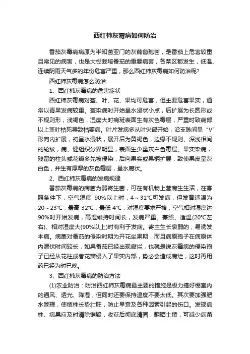 西红柿灰霉病如何防治