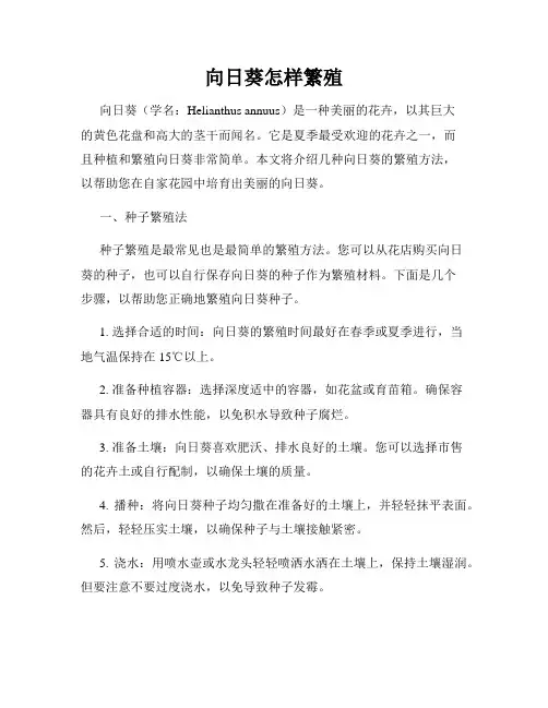 向日葵怎样繁殖