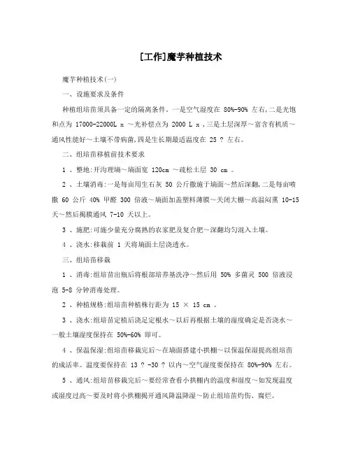 [工作]魔芋种植技术