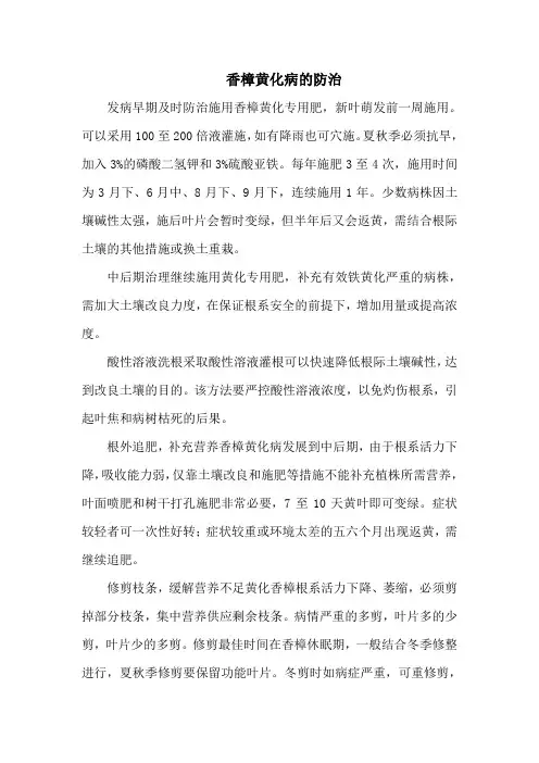 香樟黄化病的防治